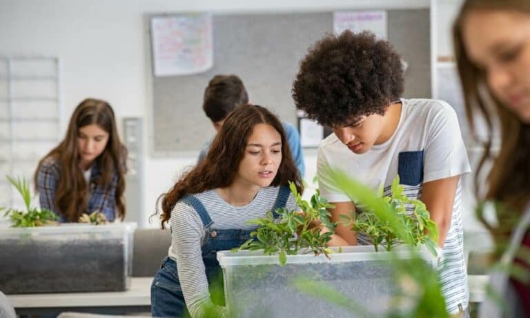 Students engaging in classroom plant study activity.